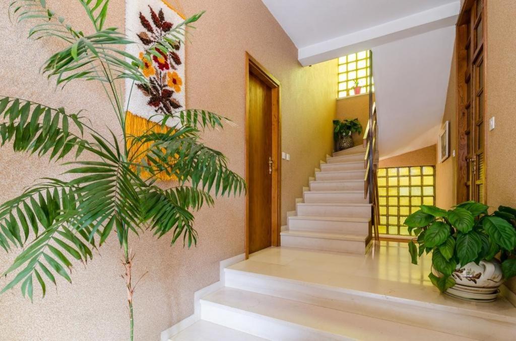 Apartments Villa Ivka Dubrovnik Exterior photo